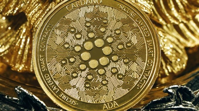 Cardano