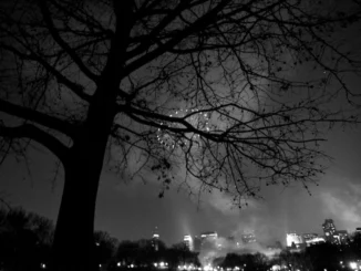 First Insight brings conversational AI in retail