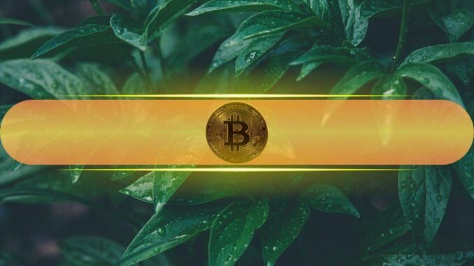 Bitcoin’s Leverage Ratio Drops Sharply