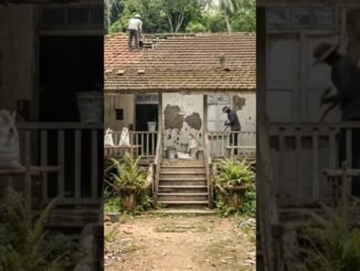 home🛖#ai #shorts #beginners #viral