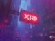 XRP crypto is showing signs of strength despite fragile pricing. Discover what on-chain data reveals about its future potential.