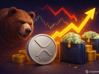 XRP price is sitting at $1.33, down as much as 4% in 24 hours, and the chart prediction is not flattering. Time to sell your bag?