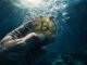 Bitcoin’s price drop below $78K cleared the path for a rebound as options traders hedge downside risk