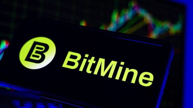 Bitmine Slows Ether Buys After Acquiring 1M ETH in 2026