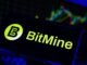 Bitmine Slows Ether Buys After Acquiring 1M ETH in 2026