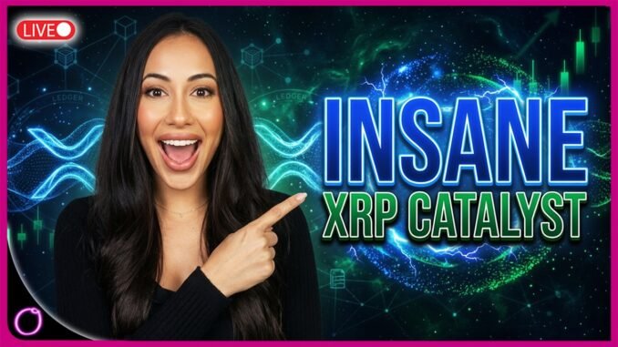 XRP WINNING! IMF Validates Ripple Tokenization Future While Clarity Act Gets 60% Shot This Month